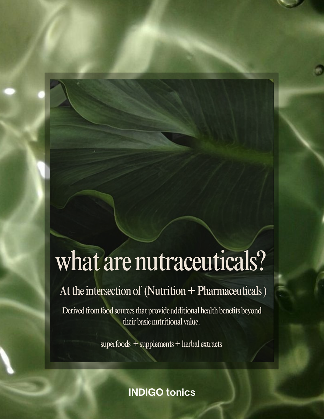 Nutraceuticals: The Science-Backed Superfoods That Support Your Body Naturally